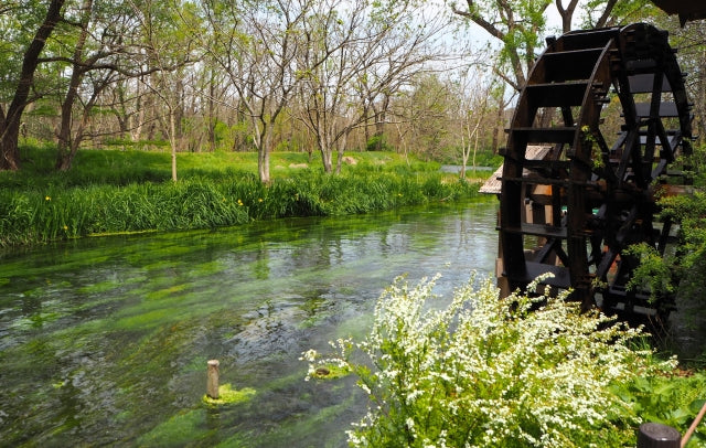 Featuring Japanese Folk Songs