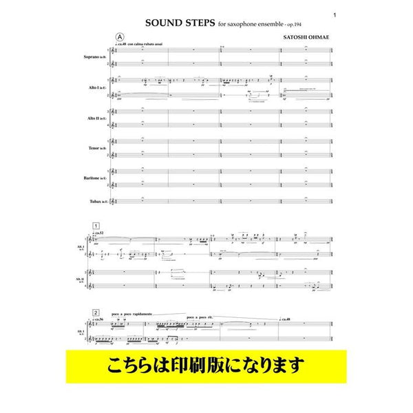 SOUND STEPS / SATOSHI OHMAE [Saxophone Un-dectet]