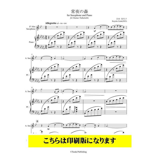 Everlasting Night Forest / Kayoko Goda [Alto Saxophone & Piano]